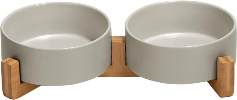 SPUNKYJUNKY Ceramic Dog and Cat Bowl with Wood Stand