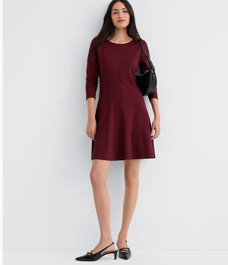 Seamed Ponte Long Sleeve Mini Dress