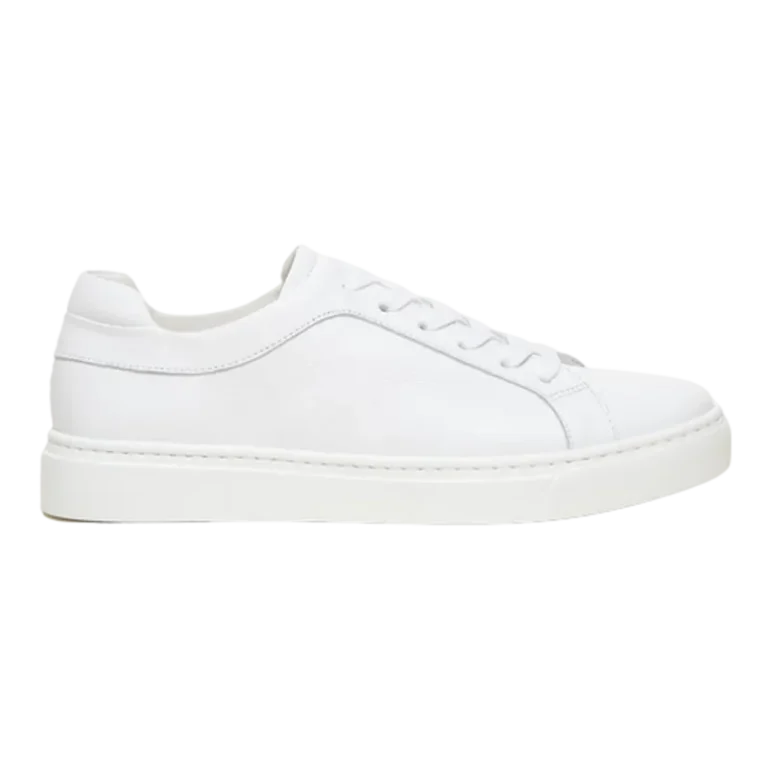 The Palestra Due - White